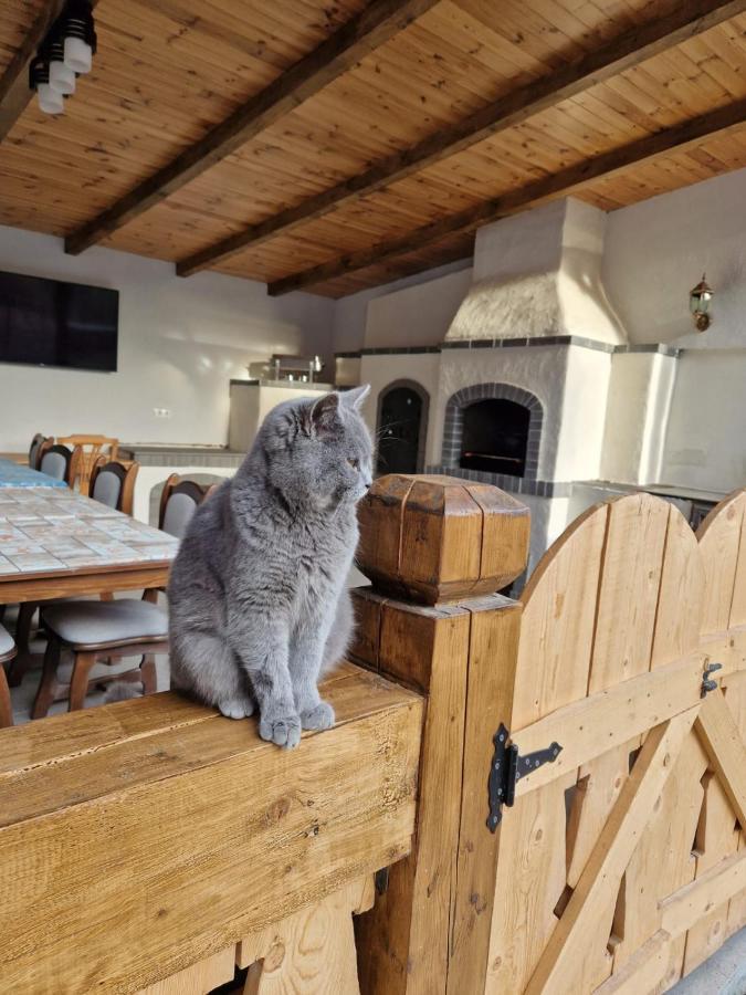 Casa De Langa Padure Ξενοδοχείο Sighetu Marmaţiei Εξωτερικό φωτογραφία